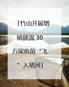 竹山开展增殖放流 30万尾鱼苗“飞”入堵河