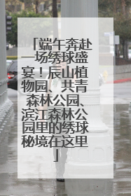 端午奔赴一场绣球盛宴！辰山植物园、共青森林公园、滨江森林公园里的绣球秘境在这里