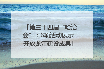 第三十四届“哈洽会”：6项活动展示开放龙江建设成果