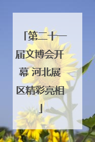 第二十一届文博会开幕 河北展区精彩亮相
