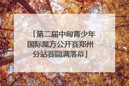 第二届中匈青少年国际魔方公开赛郑州分站赛圆满落幕