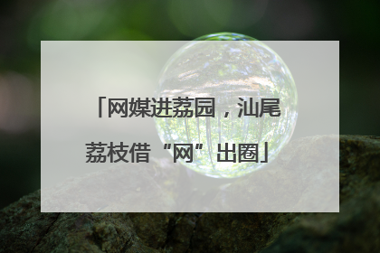 网媒进荔园，汕尾荔枝借“网”出圈