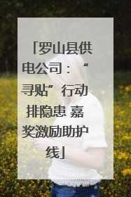 罗山县供电公司：“寻贴”行动排隐患 嘉奖激励助护线
