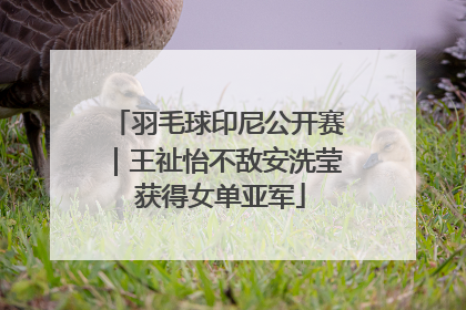 羽毛球印尼公开赛｜王祉怡不敌安洗莹 获得女单亚军