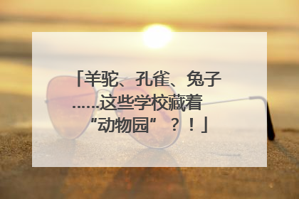 羊驼、孔雀、兔子……这些学校藏着 “动物园”？！