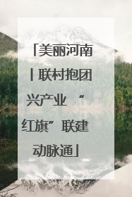 美丽河南丨联村抱团兴产业 “红旗”联建动脉通