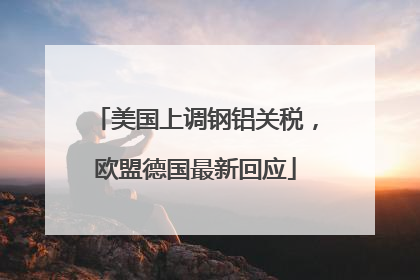 美国上调钢铝关税，欧盟德国最新回应