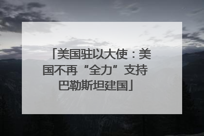 美国驻以大使：美国不再“全力”支持巴勒斯坦建国