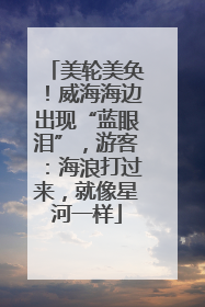 美轮美奂！威海海边出现“蓝眼泪”，游客：海浪打过来，就像星河一样