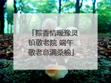 粽香情暖豫灵镇敬老院 端午敬老意满桑榆