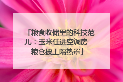 粮食收储里的科技范儿：玉米住进空调房 粮仓披上隔热罩
