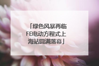 绿色风暴再临 FE电动方程式上海站圆满落幕