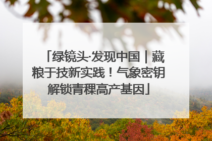 绿镜头·发现中国｜藏粮于技新实践！气象密钥解锁青稞高产基因