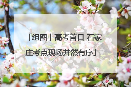 组图丨高考首日 石家庄考点现场井然有序