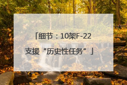 细节：10架F-22支援“历史性任务”