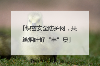 织密安全防护网，共绘烟叶好“丰”景