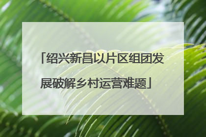 绍兴新昌以片区组团发展破解乡村运营难题