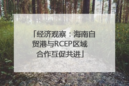 经济观察：海南自贸港与RCEP区域合作互促共进