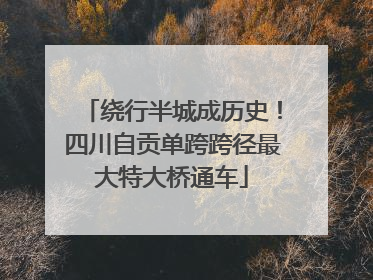 绕行半城成历史！四川自贡单跨跨径最大特大桥通车