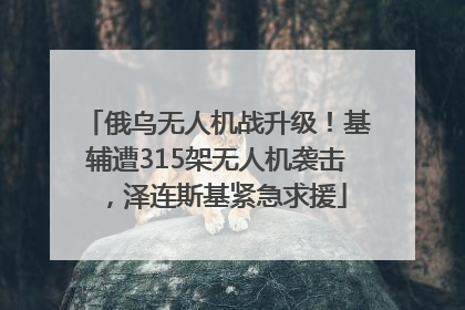 俄乌无人机战升级！基辅遭315架无人机袭击，泽连斯基紧急求援