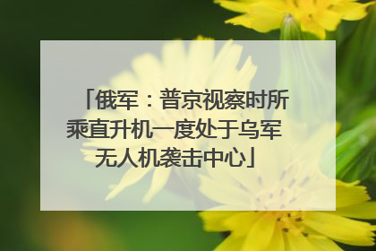 俄军：普京视察时所乘直升机一度处于乌军无人机袭击中心