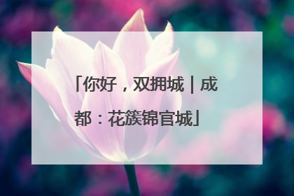 你好，双拥城｜成都：花簇锦官城