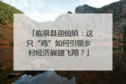 临泉县迎仙镇：这只“鸡”如何引领乡村经济展翅飞翔？