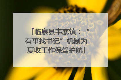 临泉县韦寨镇：“有事找书记”机制为夏收工作保驾护航