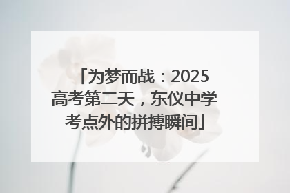 为梦而战：2025高考第二天，东仪中学考点外的拼搏瞬间