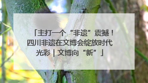 主打一个“非遗”震撼！四川非遗在文博会绽放时代光彩｜文博向“新”