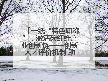 一纸“特色职称”，激活碳纤维产业创新链——创新人才评价机制 助推产业升级