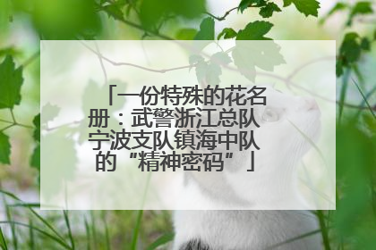 一份特殊的花名册：武警浙江总队宁波支队镇海中队的“精神密码”