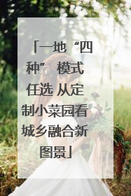 一地“四种” 模式任选 从定制小菜园看城乡融合新图景