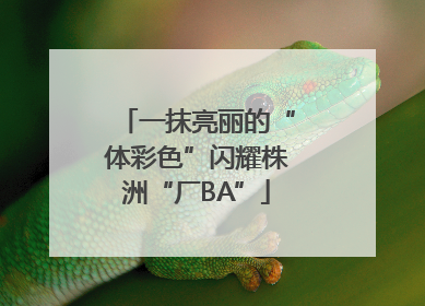 一抹亮丽的“体彩色”闪耀株洲“厂BA”