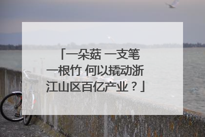 一朵菇 一支笔 一根竹 何以撬动浙江山区百亿产业？