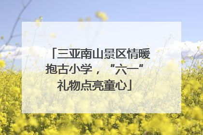 三亚南山景区情暖抱古小学，“六一”礼物点亮童心