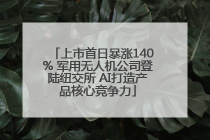 上市首日暴涨140% 军用无人机公司登陆纽交所 AI打造产品核心竞争力