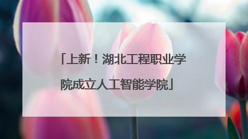 上新！湖北工程职业学院成立人工智能学院