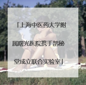 上海中医药大学附属曙光医院携手鹊秘堂成立联合实验室