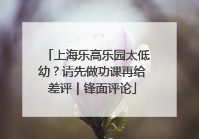 上海乐高乐园太低幼？请先做功课再给差评｜锋面评论