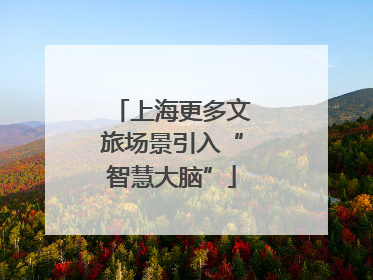 上海更多文旅场景引入“智慧大脑”