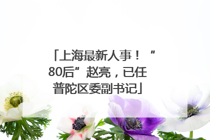 上海最新人事！“80后”赵亮，已任普陀区委副书记
