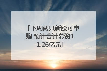 下周两只新股可申购 预计合计募资11.26亿元