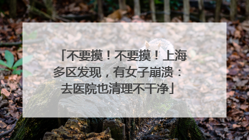 不要摸！不要摸！上海多区发现，有女子崩溃：去医院也清理不干净