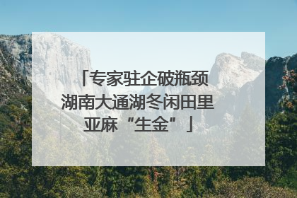 专家驻企破瓶颈 湖南大通湖冬闲田里亚麻“生金”