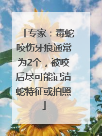 专家：毒蛇咬伤牙痕通常为2个，被咬后尽可能记清蛇特征或拍照