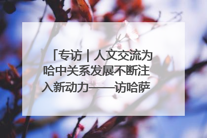 专访｜人文交流为哈中关系发展不断注入新动力——访哈萨克斯坦文化与信息部部长巴拉耶娃