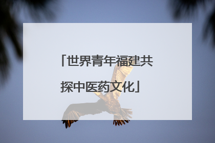 世界青年福建共探中医药文化