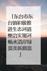 东台市东台镇积极推进生态河道整治实现河畅水清岸绿景美新愿景
