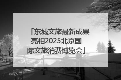 东城文旅最新成果亮相2025北京国际文旅消费博览会